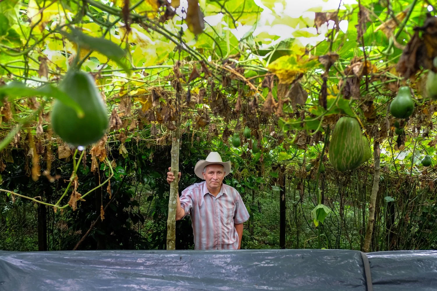 Yalí_Jinotega_Nicaragua_30-10-2014-46-7.jpg