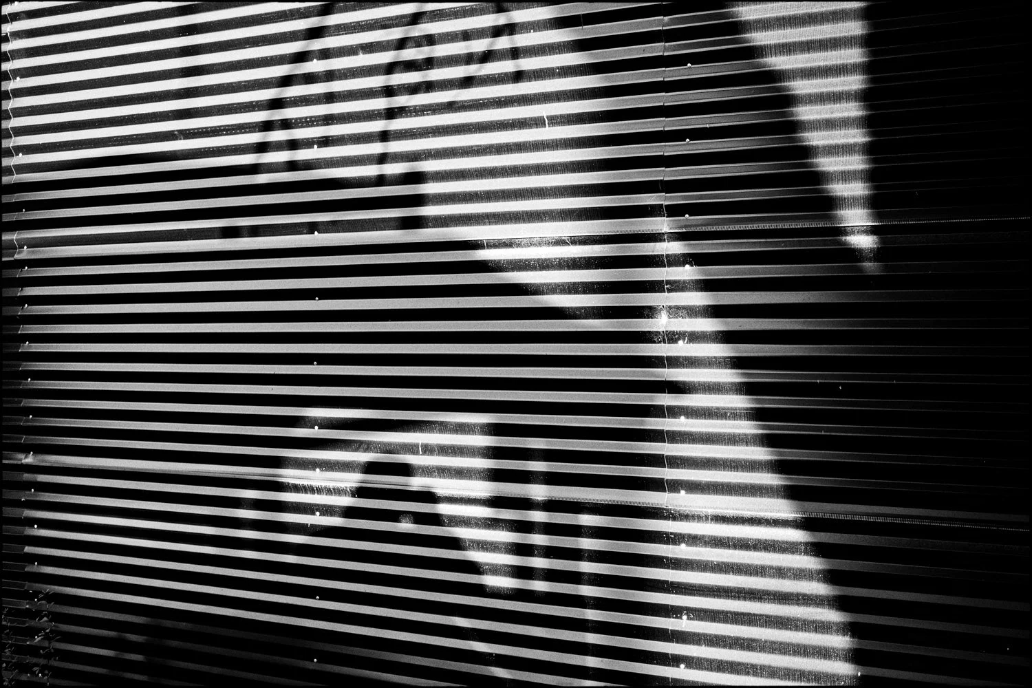 Presagios de la Luz-27.jpg
