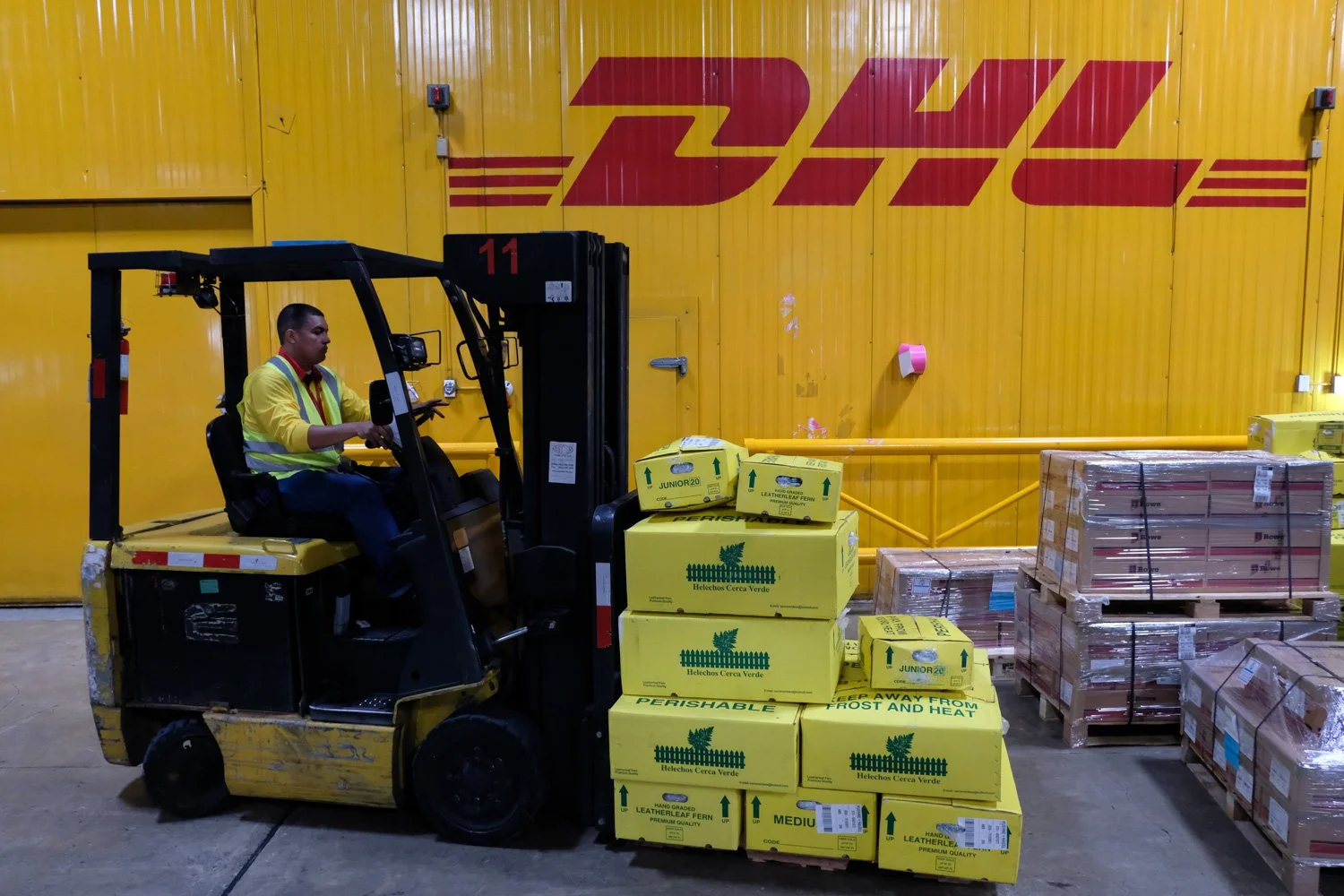 DHL_Panama_03-2017-94-15.jpg