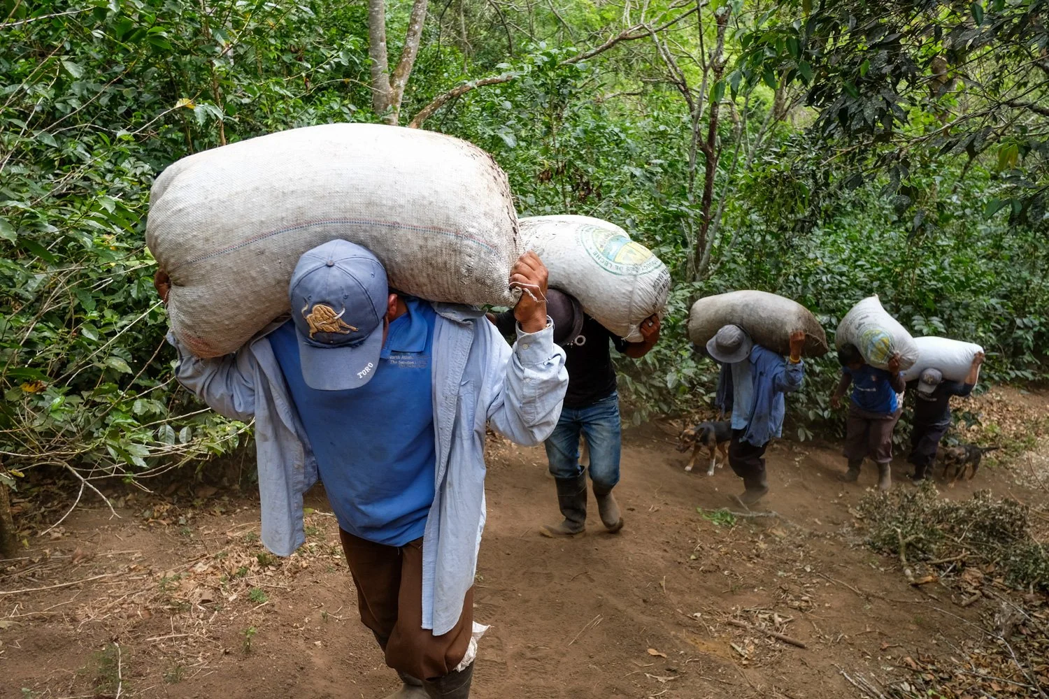 FST_Volcan, Chiriqui - Panama 04-03-2016-158-15.jpg