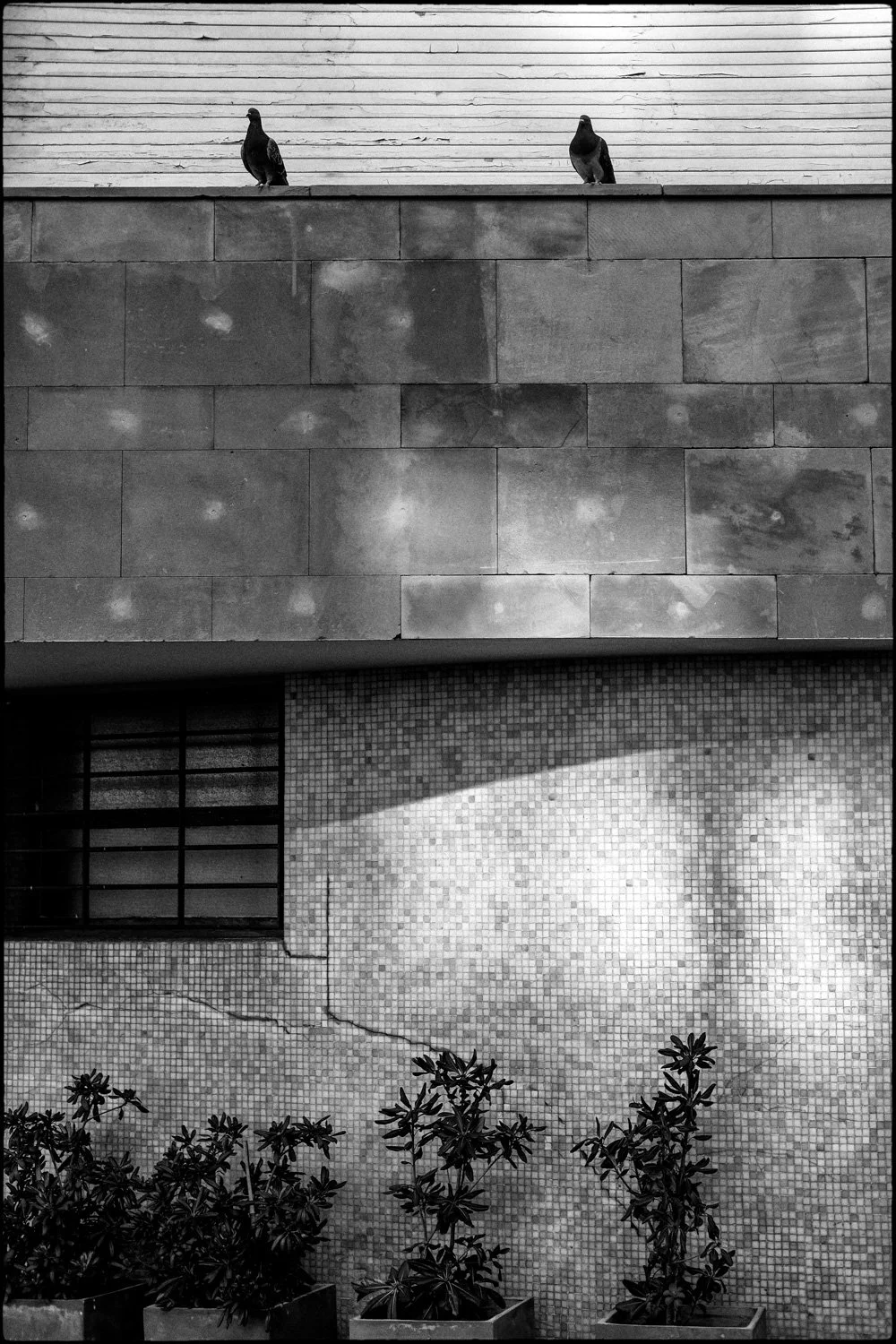 Presagios de la Luz-25.jpg