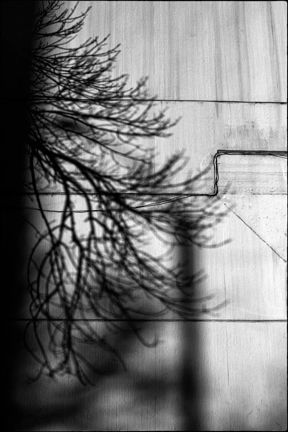 Presagios de la Luz-9.jpg