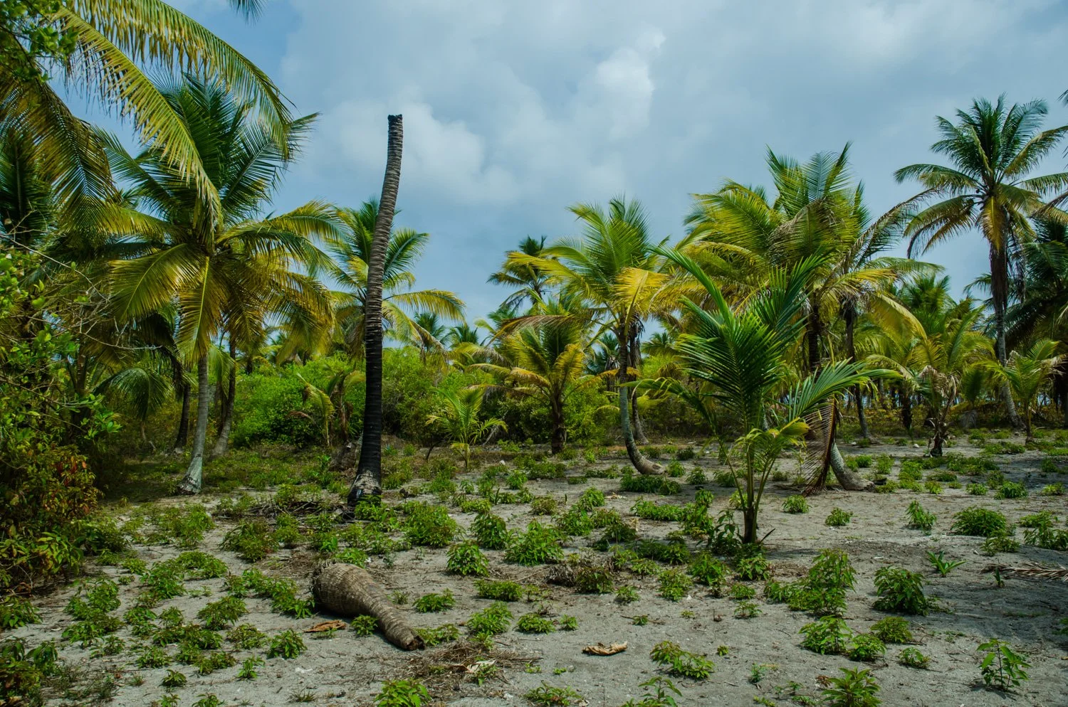 Kuna_Yala_San_Blas_Panama_04-2014-27-4.jpg