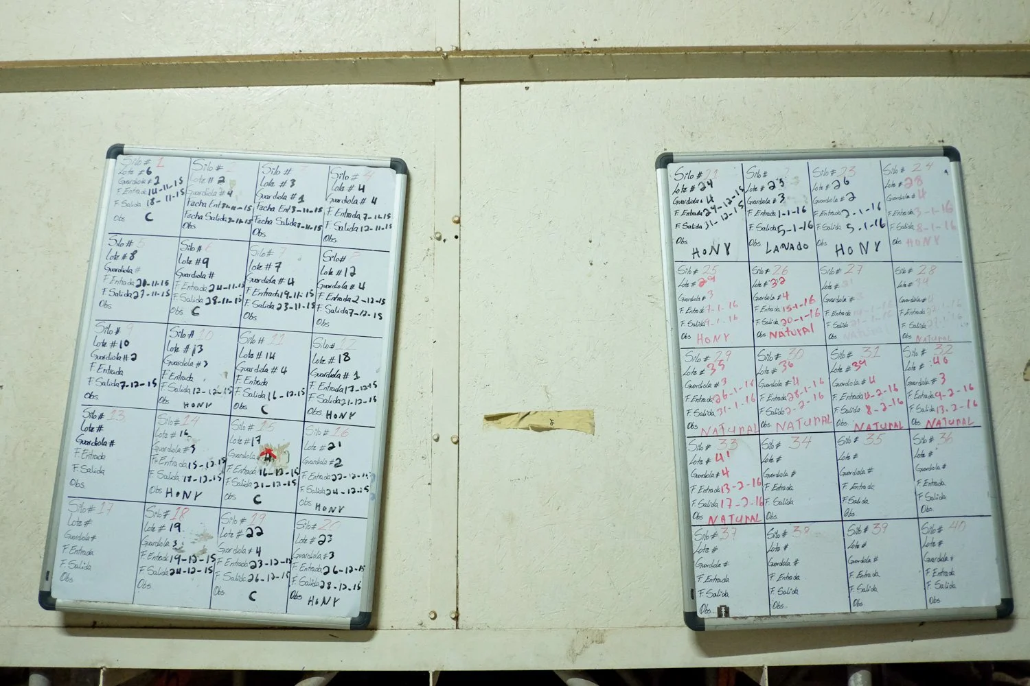 FST_Volcan, Chiriqui - Panama 04-03-2016-213-23.jpg