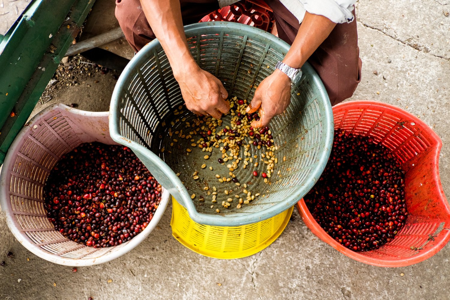 FST_Volcan, Chiriqui - Panama 04-03-2016-223-27.jpg