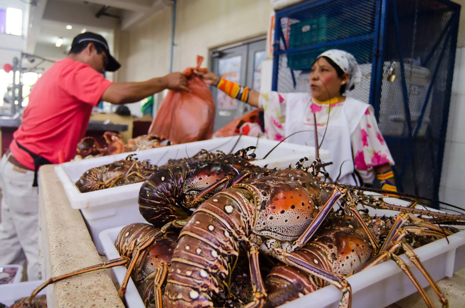Mercado_Mariscos_Panama_09-2013-37-13.jpg