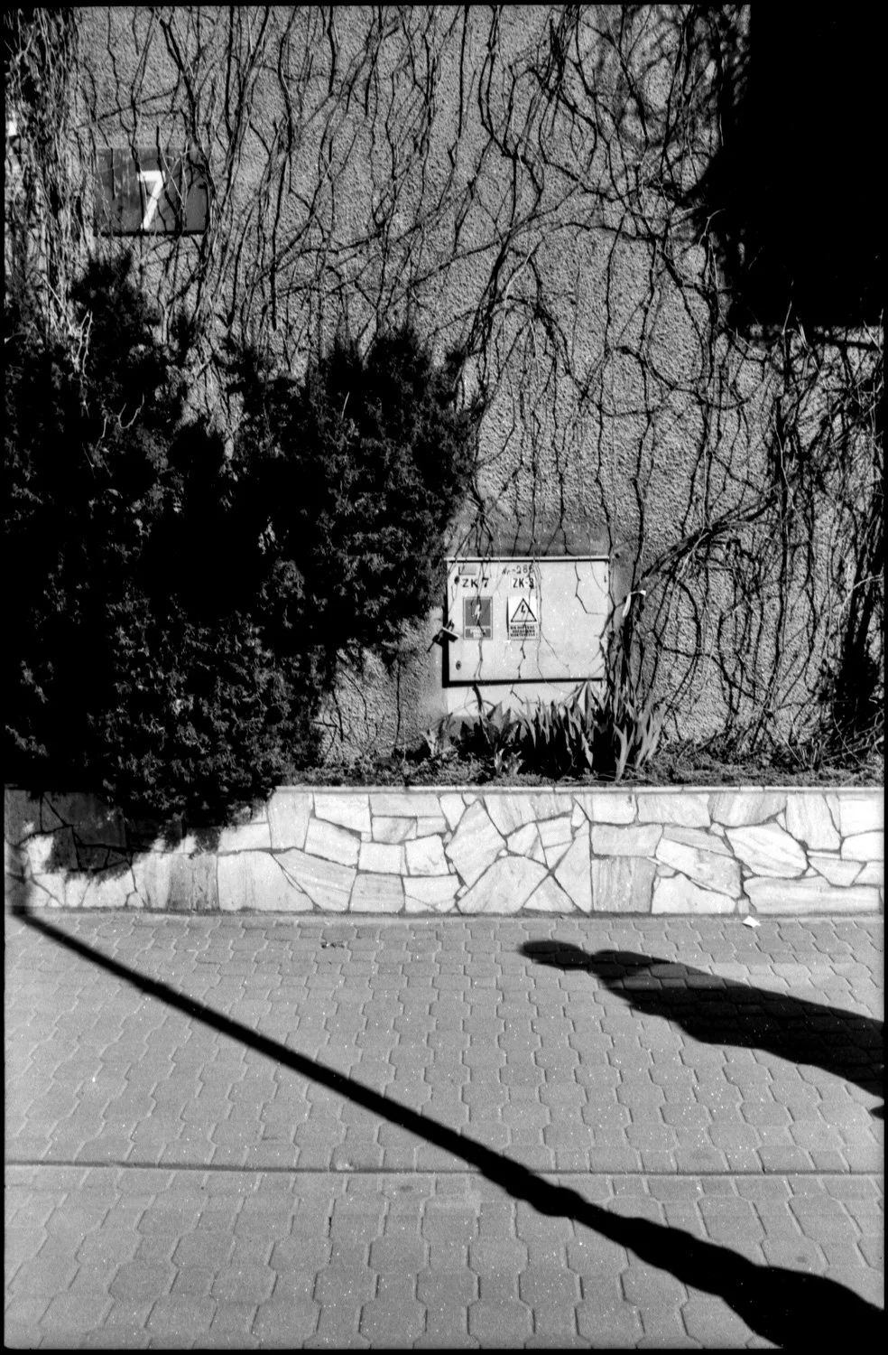Presagios de la Luz-2.jpg