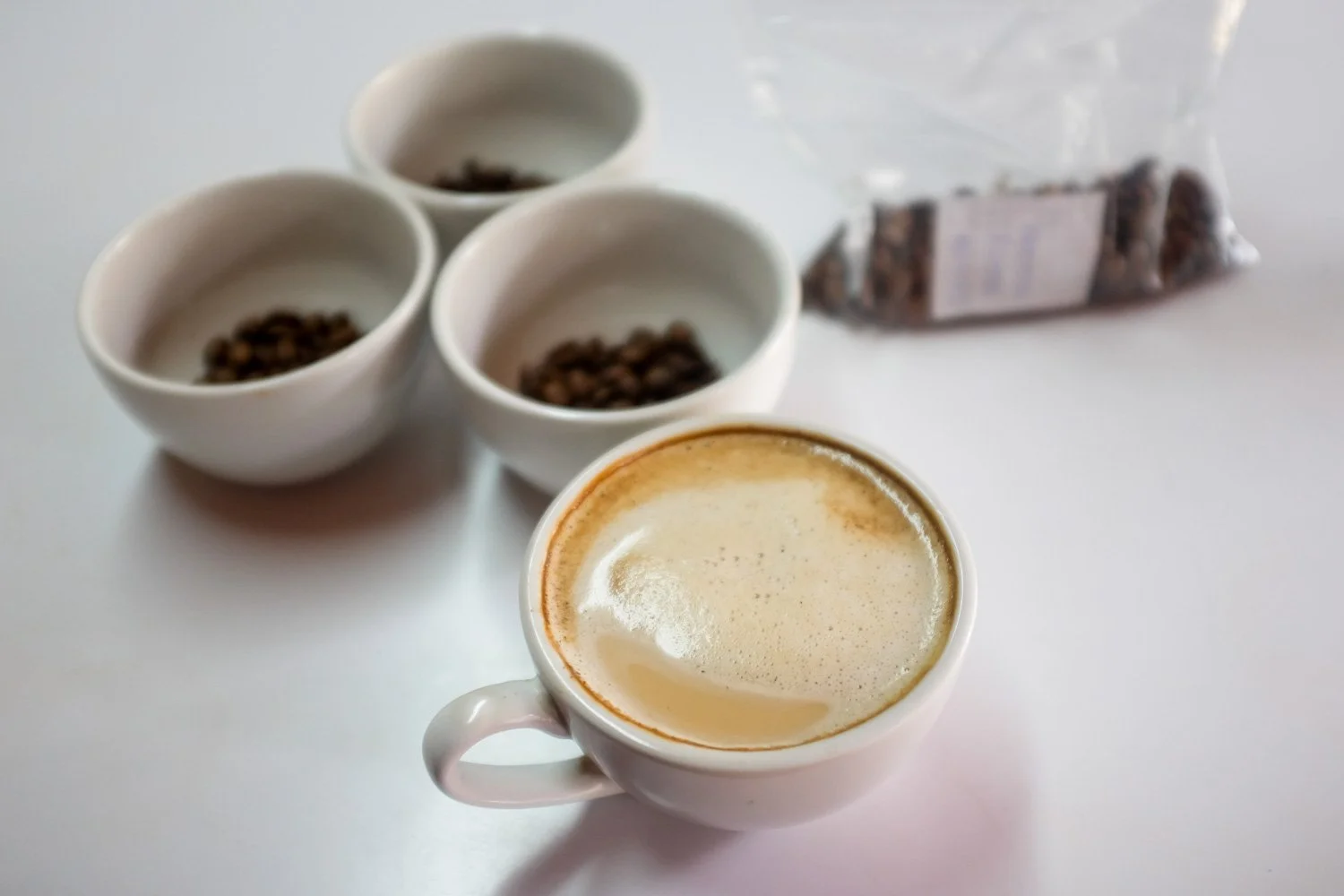 FST_Volcan, Chiriqui - Panama 04-03-2016-62-32.jpg