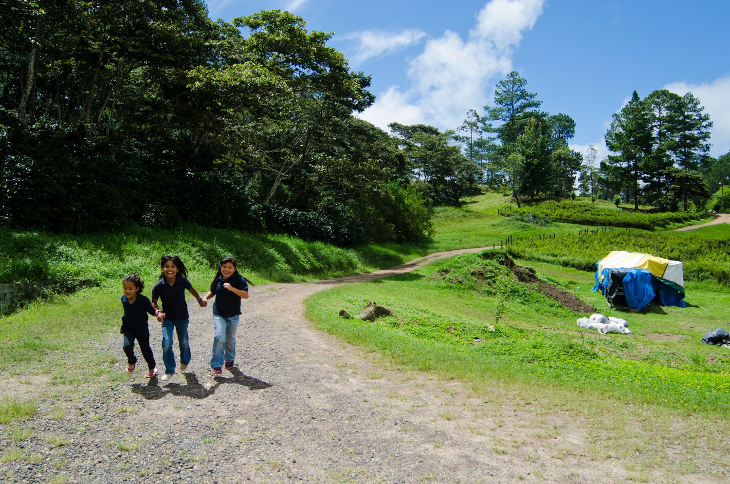 RANCHO EBENEZER - HONDURAS - ASIGNACIÓN PARA INTEL - EEUU