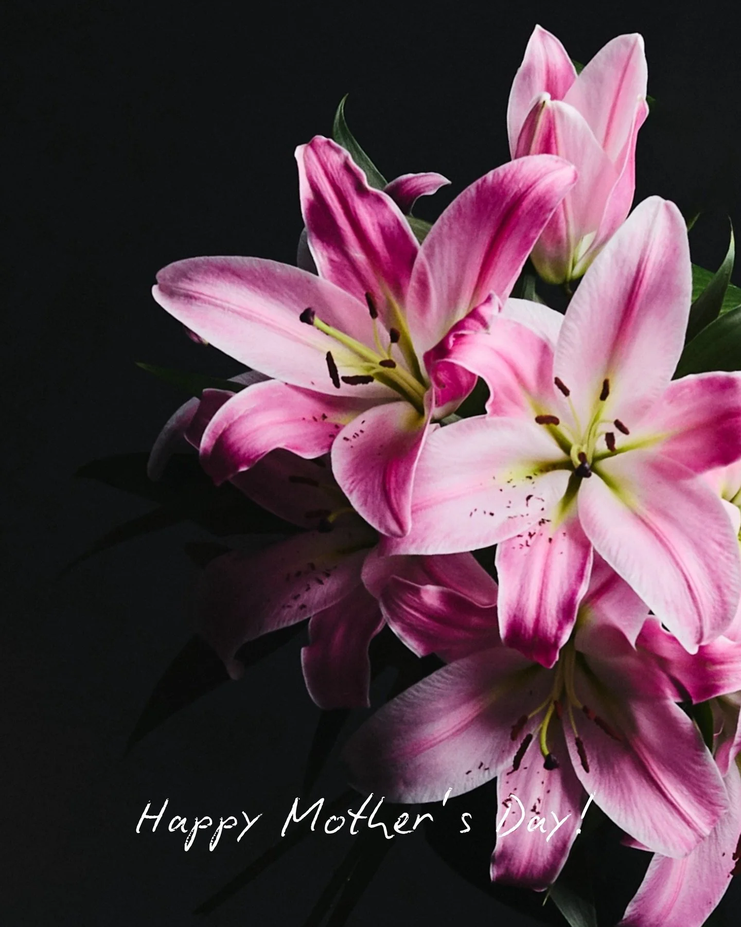 Happy Mother&rsquo;s Day to all the wonderful mums in our community 🤍

Motherhood looks different for everyone, but the love behind it is always the same. We hope you find a moment for yourself today to feel just how much you are appreciated.

Wheth