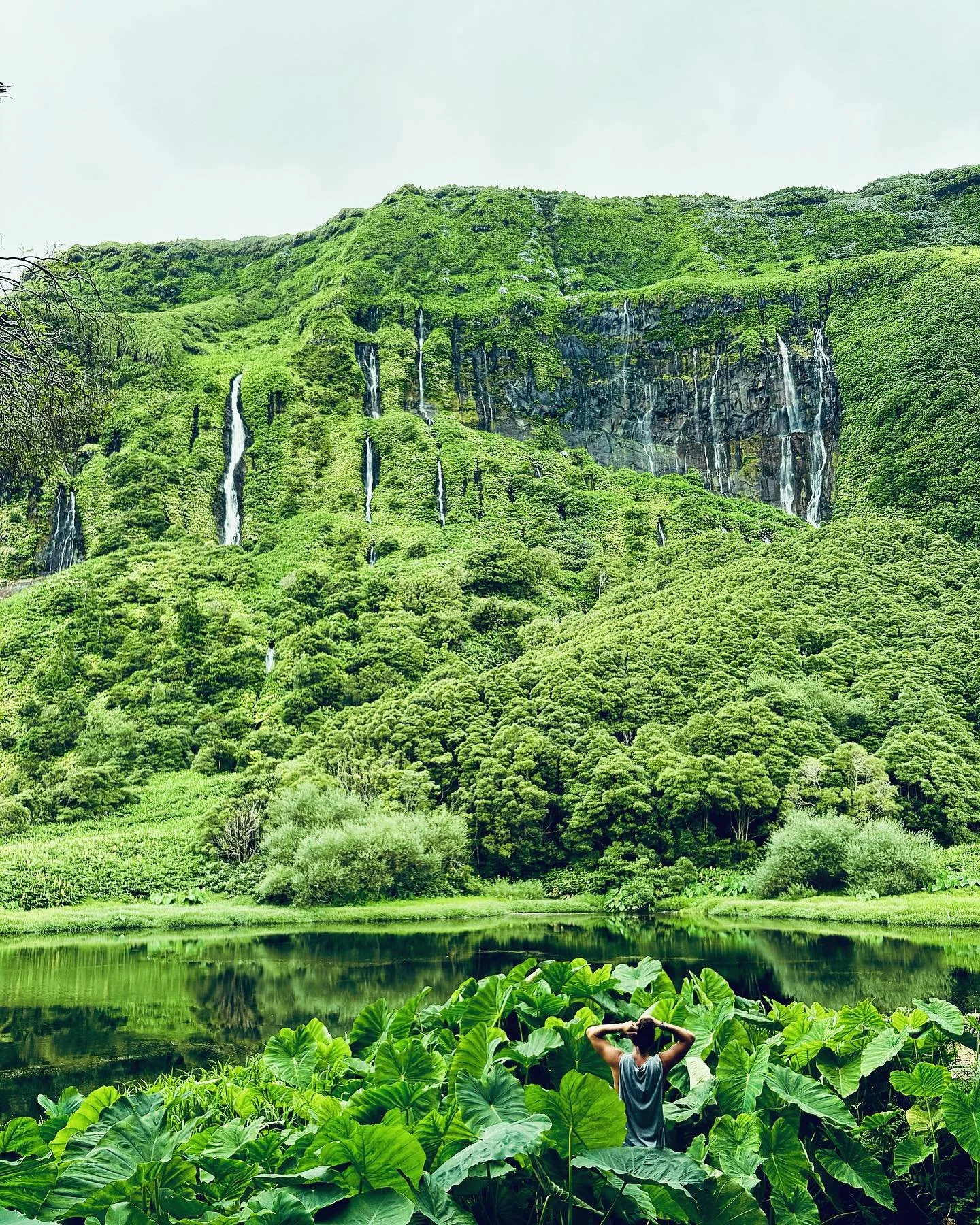 Que beleza &eacute; sentir a natureza🌞🌊🍀 #a&ccedil;ores #superazores #blue #green #beleza #natureza #bewater #inspiredbynature