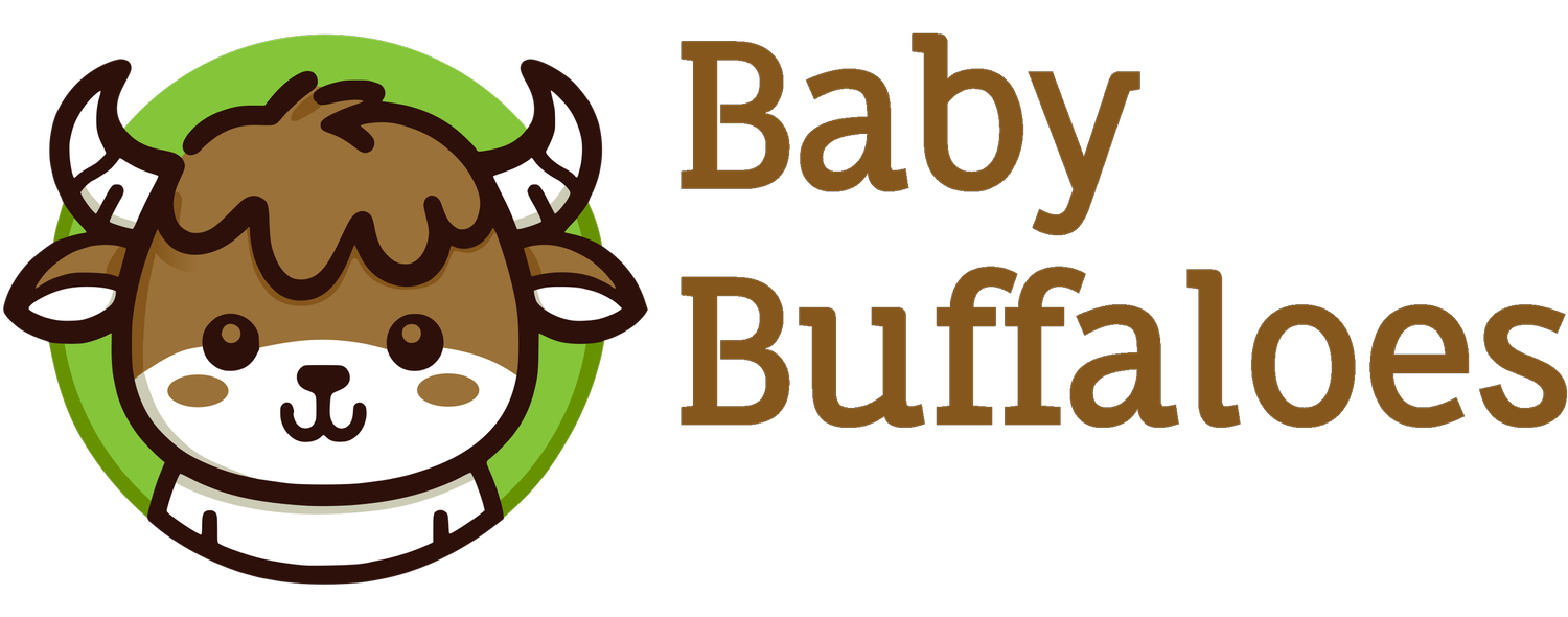 Baby Buffaloes