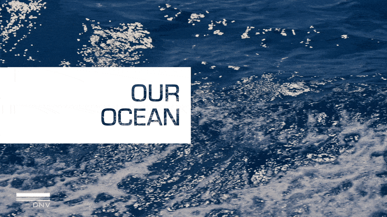 WorldMaritimeDayGIF-ezgif.com-optimize (1).gif