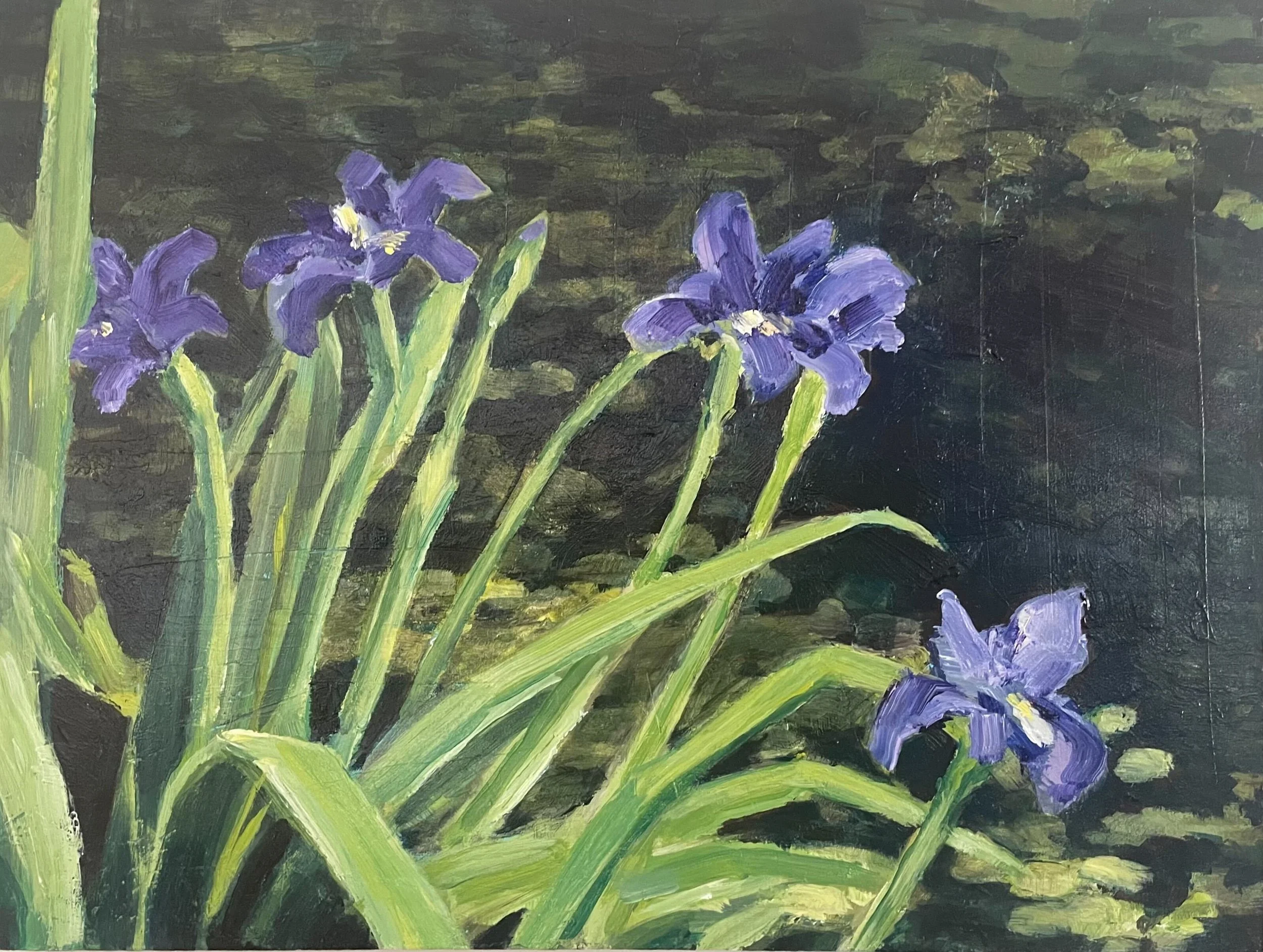 Wetland Irises