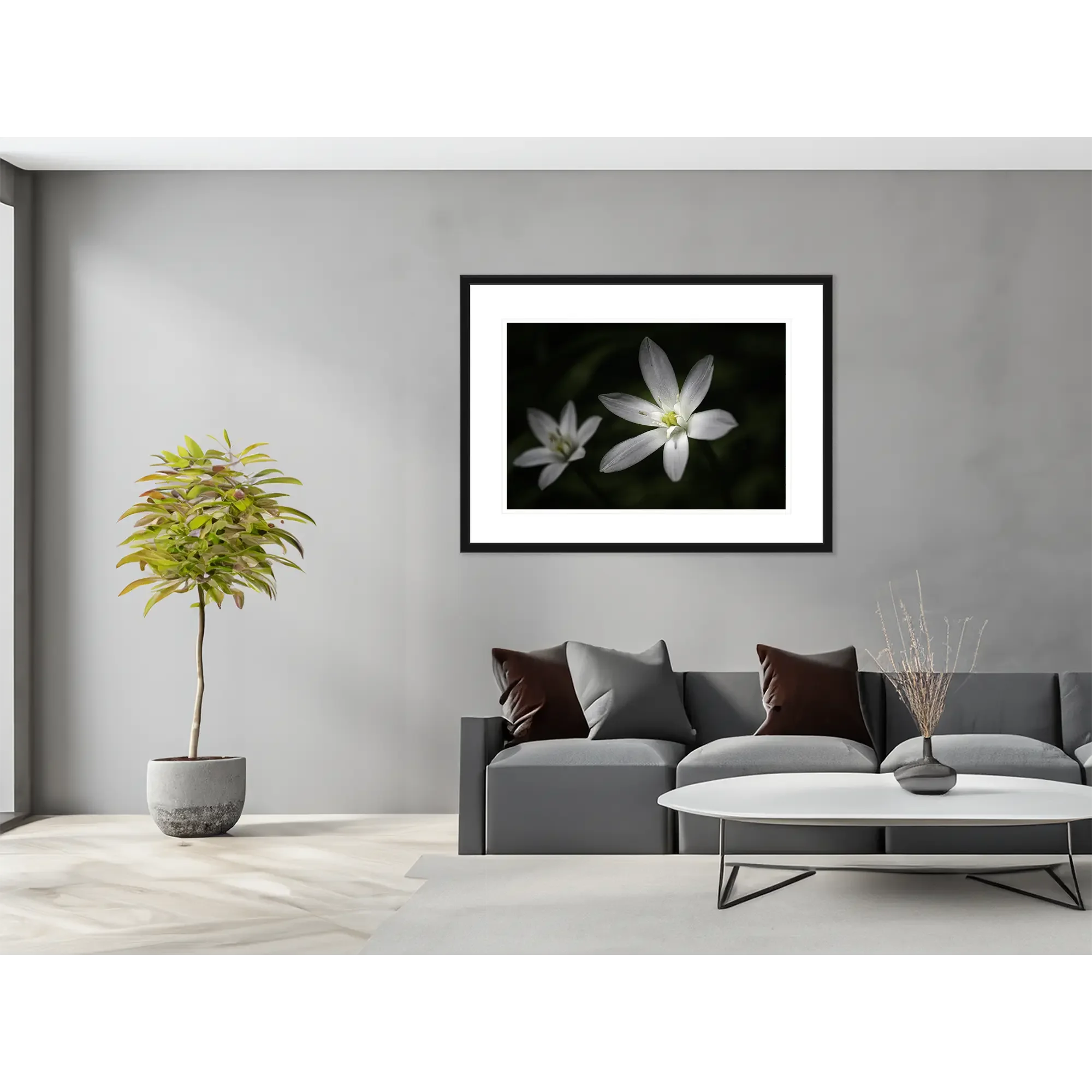 _JP72228-Milchsterne - schwarzer Rahmen - im Raum.webp