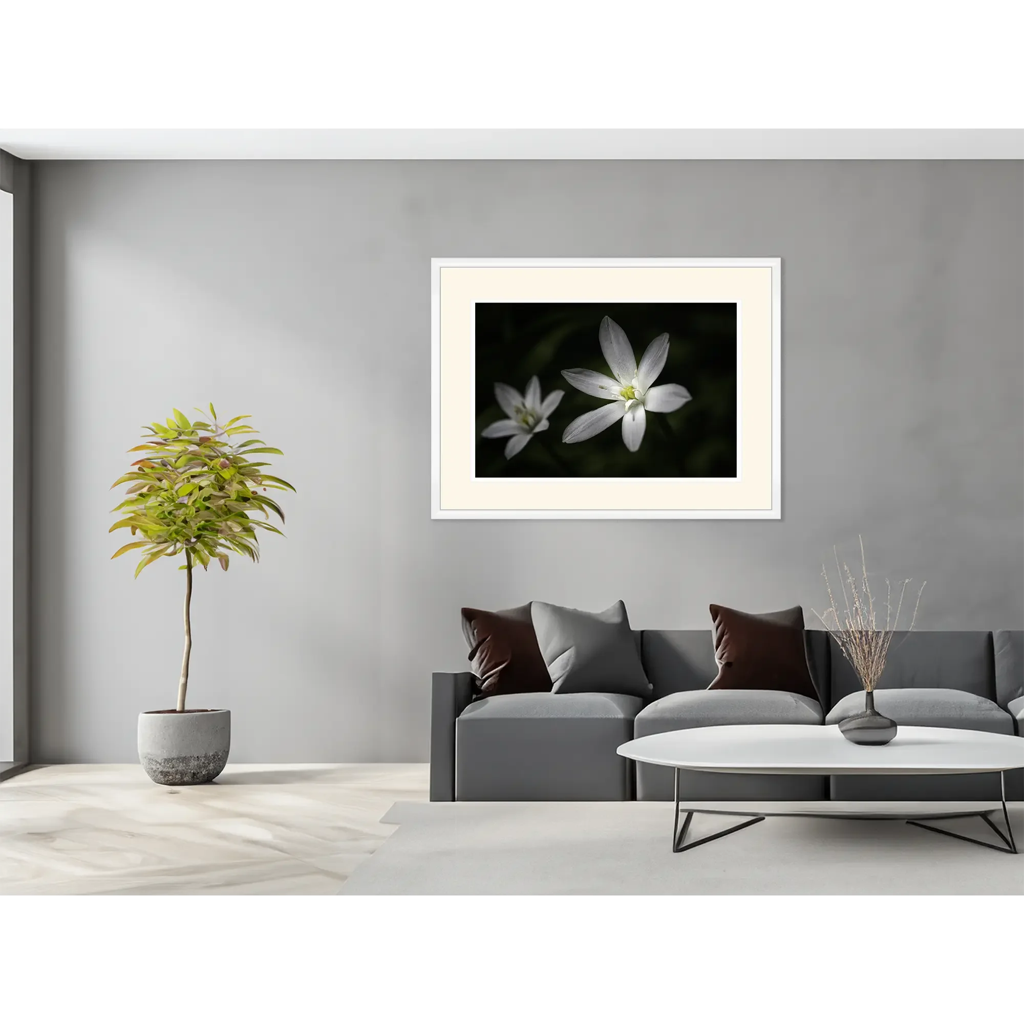 _JP72228-Milchsterne - weisser Rahmen - im Raum.webp