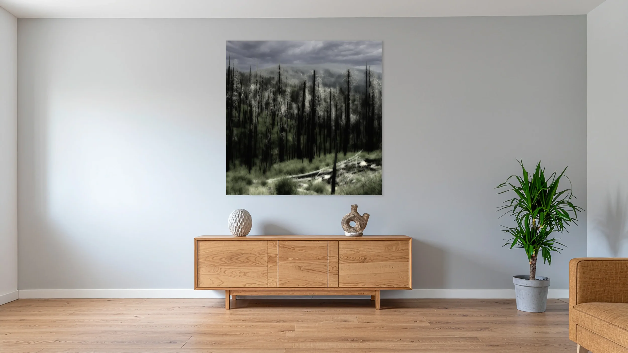 _JP76156-Burned Woods Yosemite - im Raum.webp