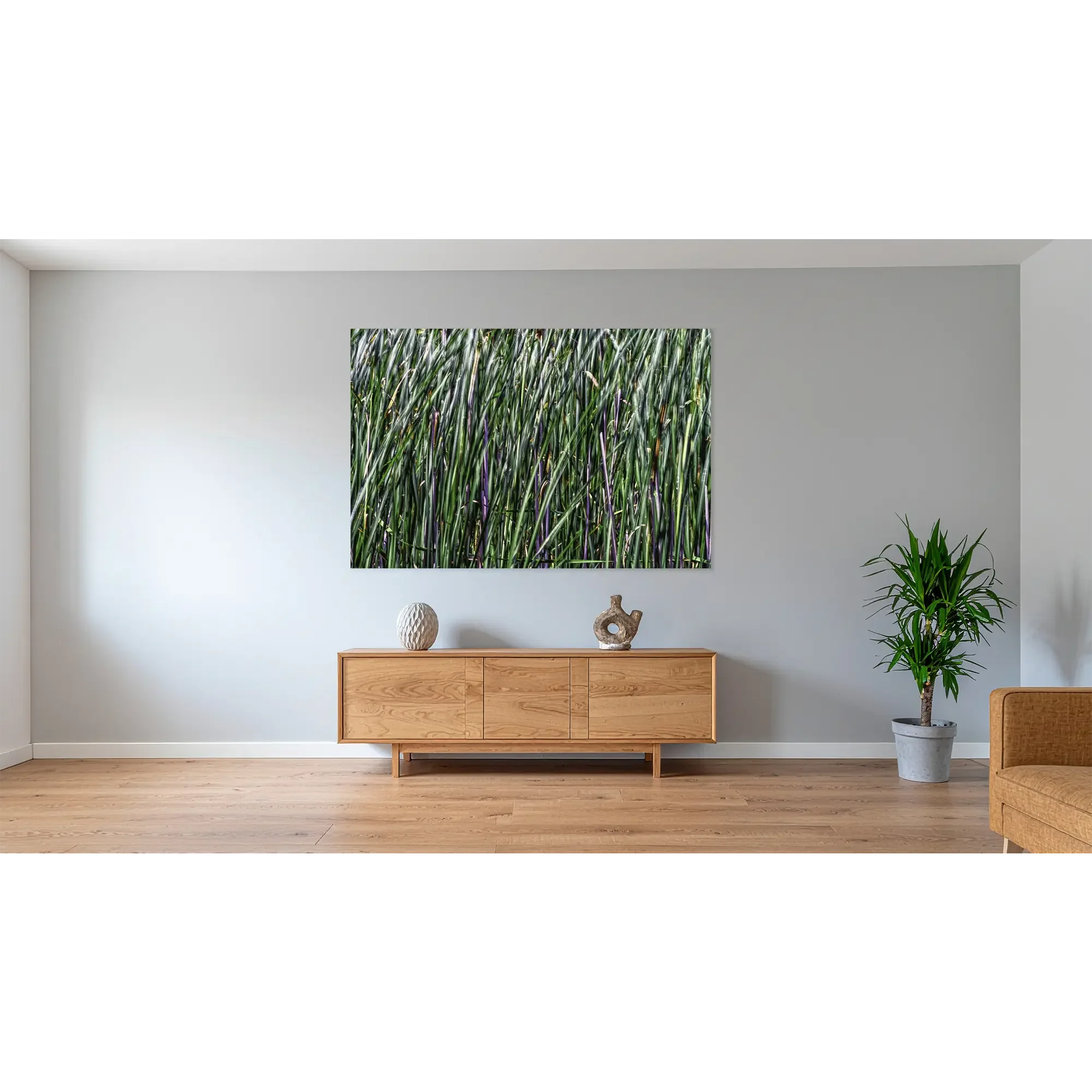 _JP76854-Schilf - im Raum.webp