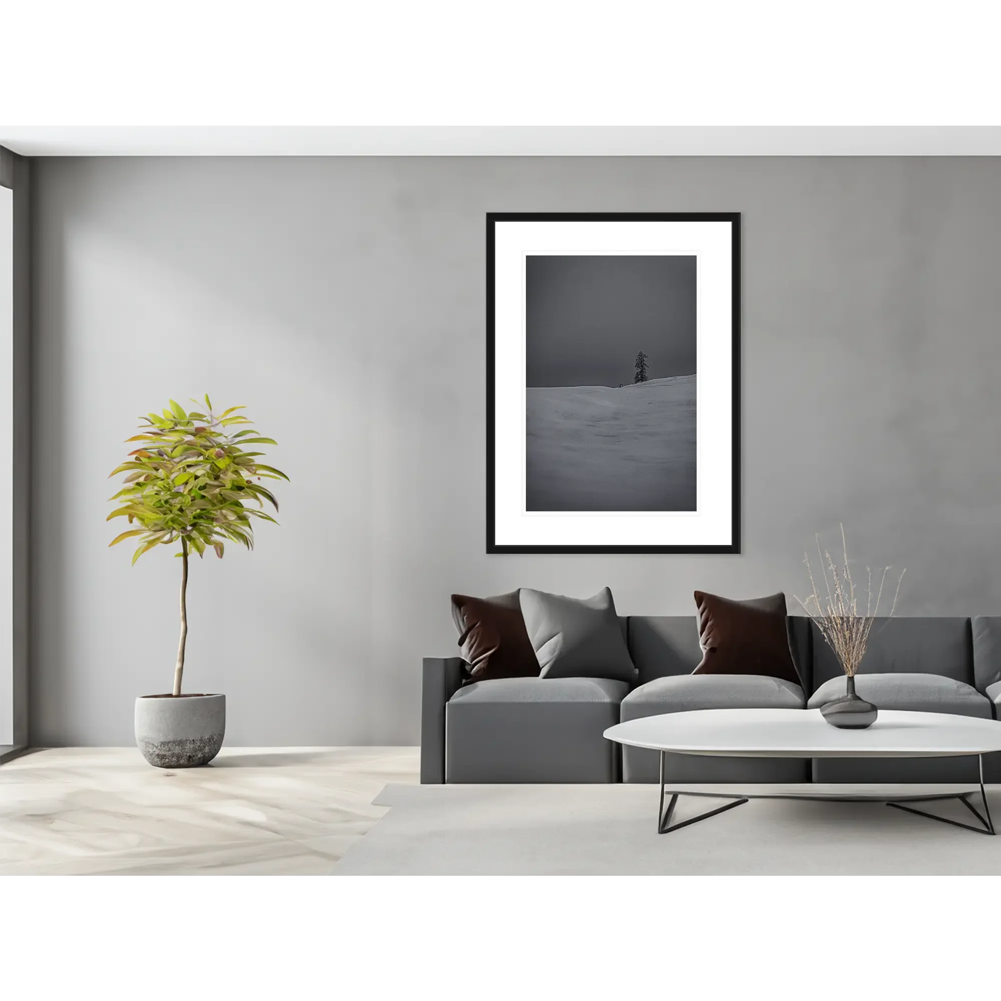 _JUP1472-Tanne im Schnee - schwarzer Rahmen - im Raum.webp