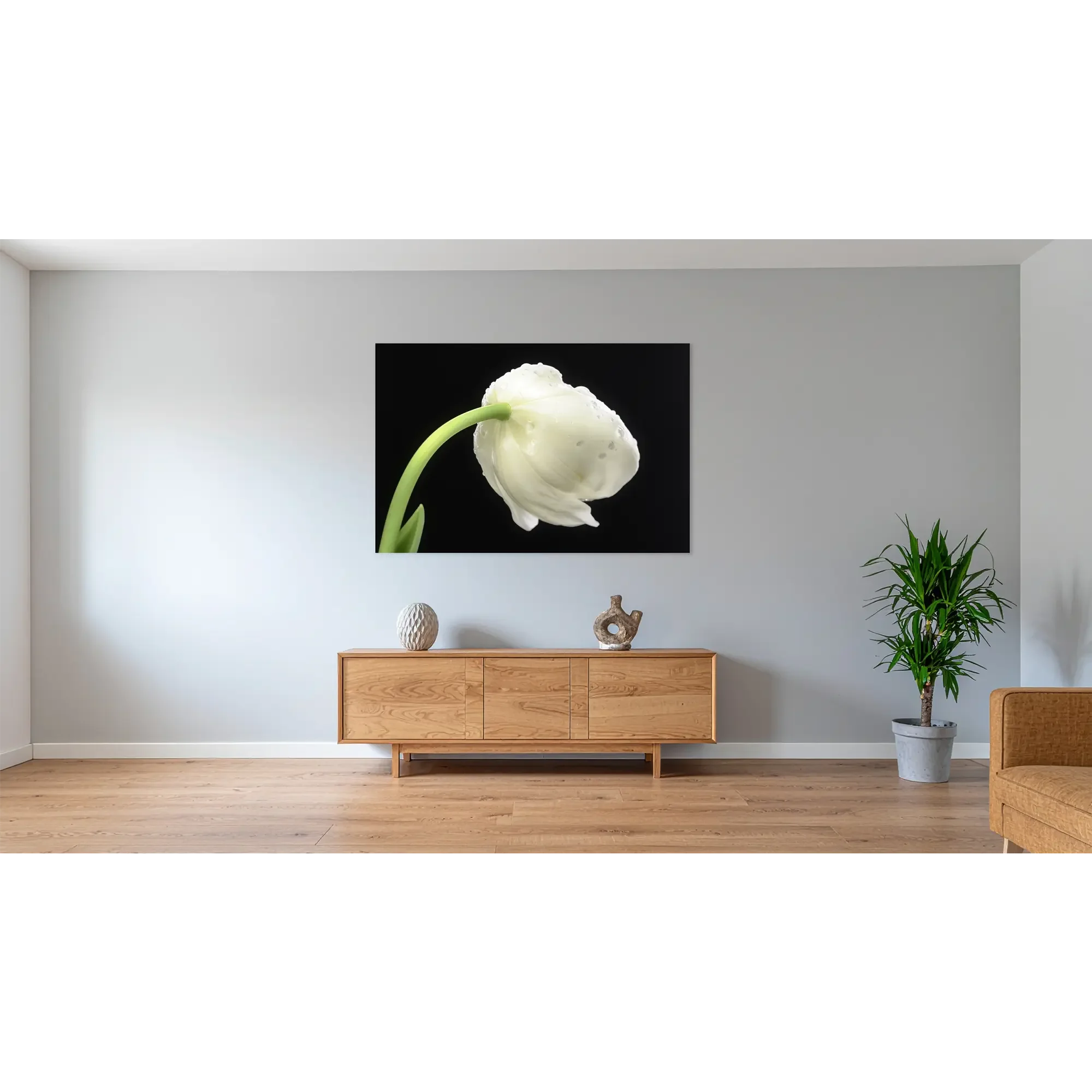 Blumen-3700-Weiße Tulpe No 2 - im Raum.webp