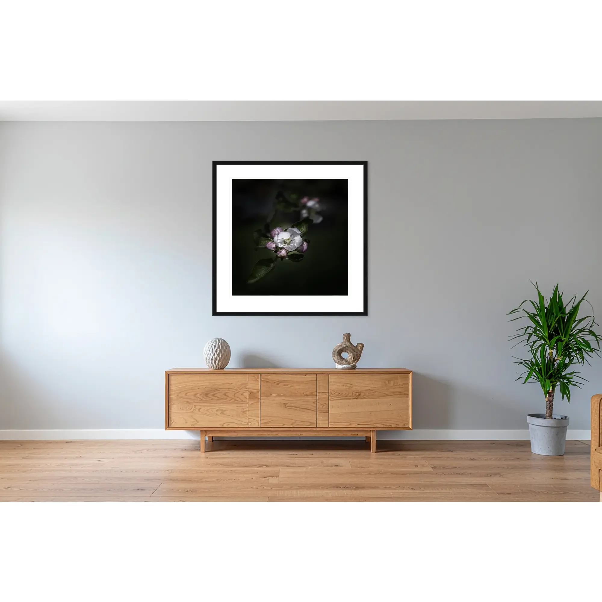 Detailaufnahme Apfelbaum-Blüte, in schwarzem Rahmenan der Wand hängend.