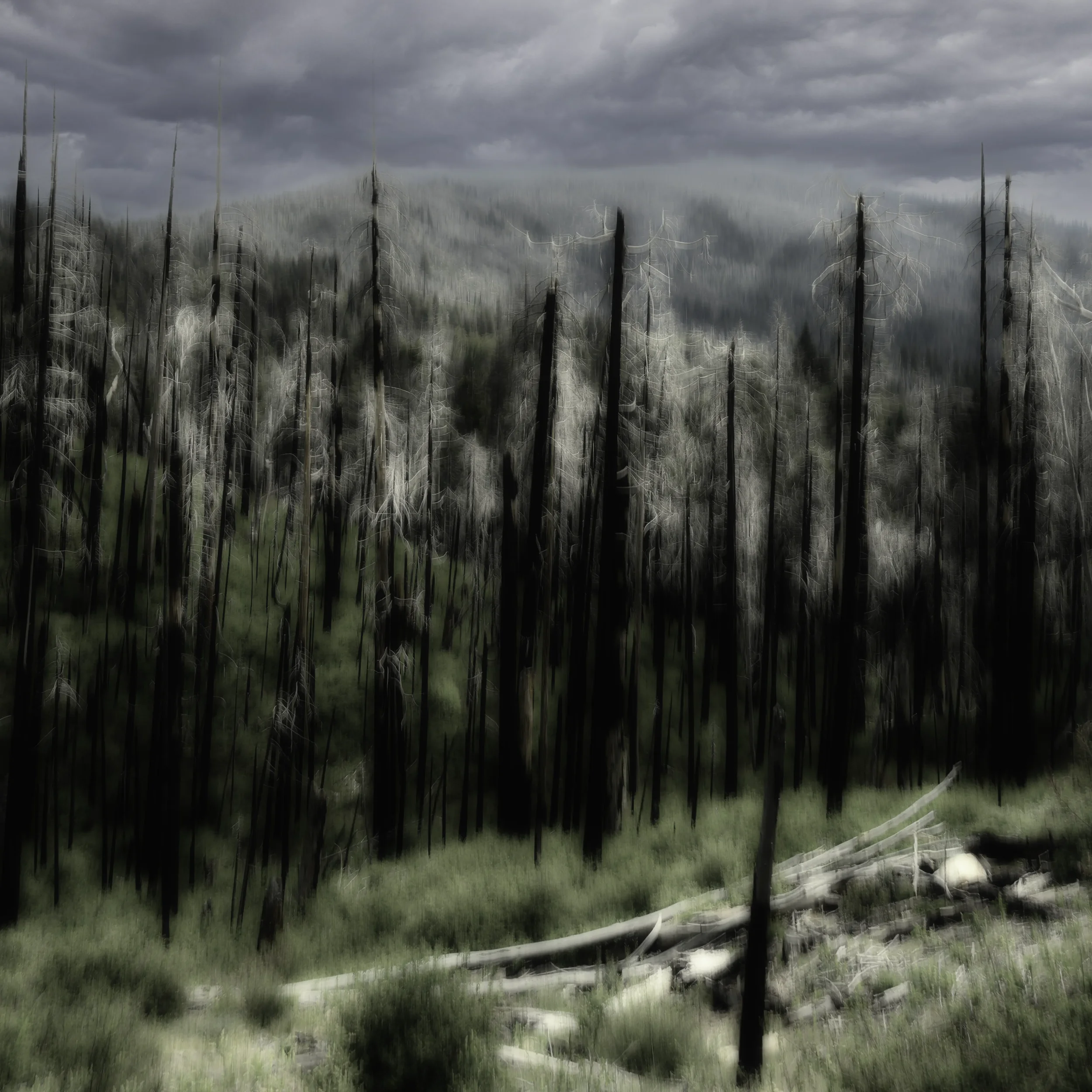 Sierra Nevada nach Waldbrand