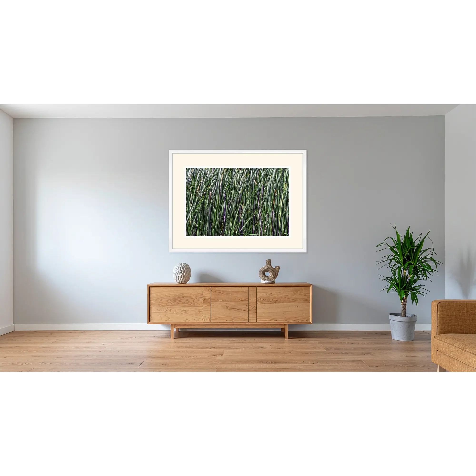 _JP76854-Schilf - weißer Rahmen - im Raum.webp