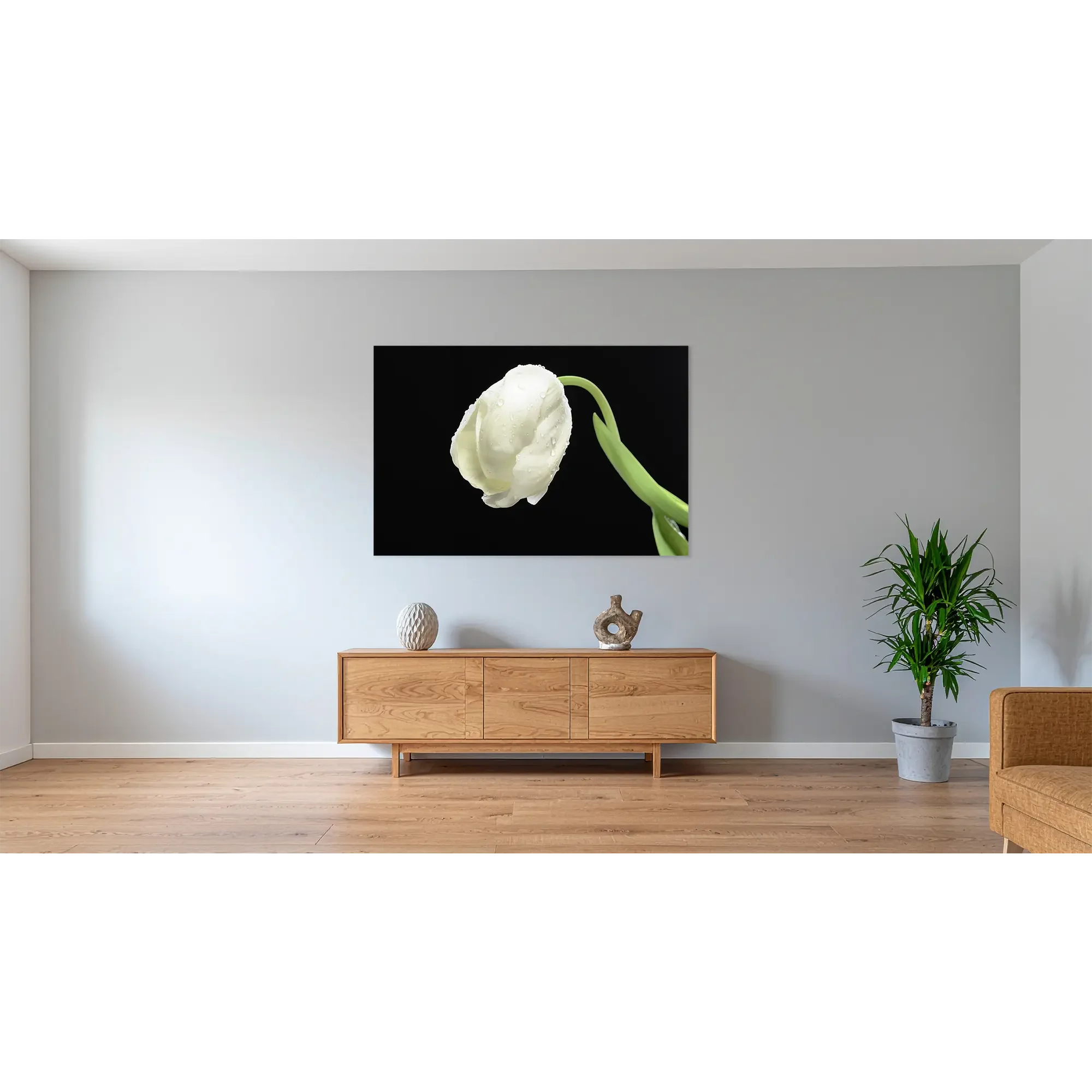 Blumen-3683-Weiße Tulpe No 1 - im Raum.webp