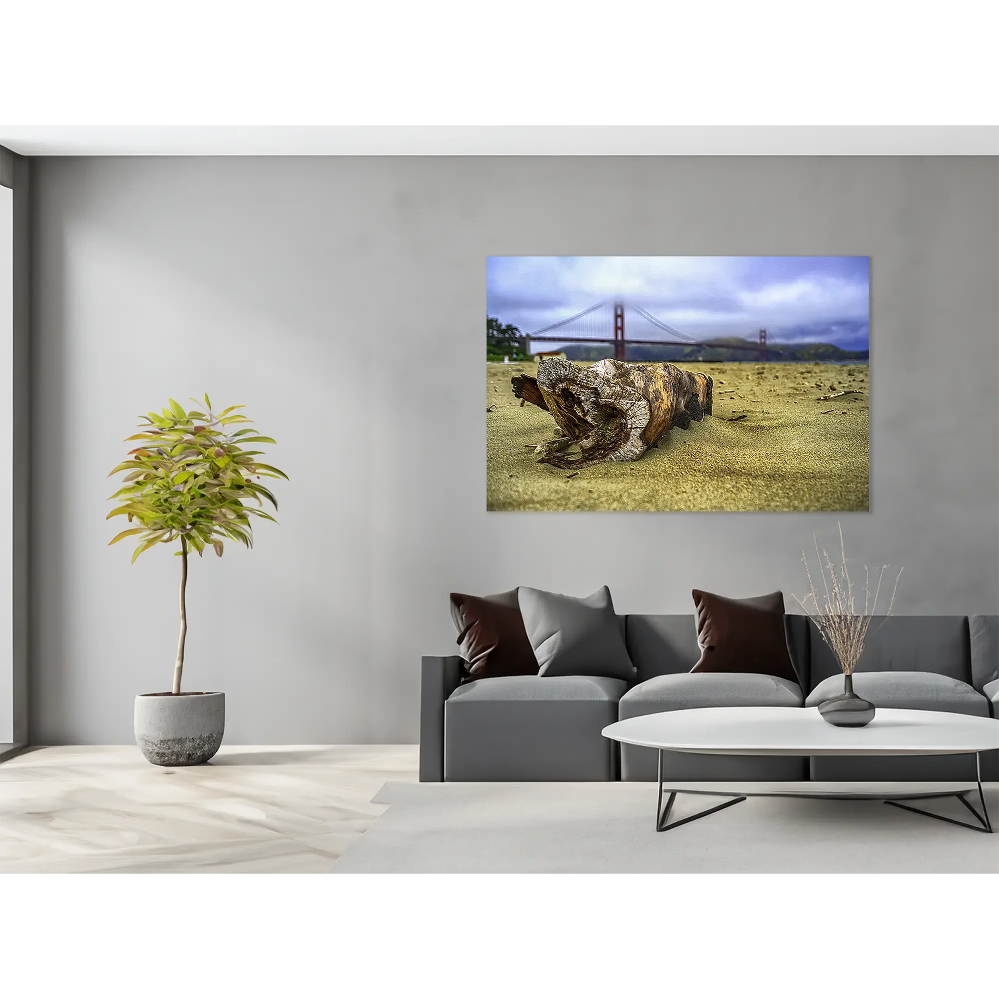 _JP75711-Treibholz SF  - im Raum.webp