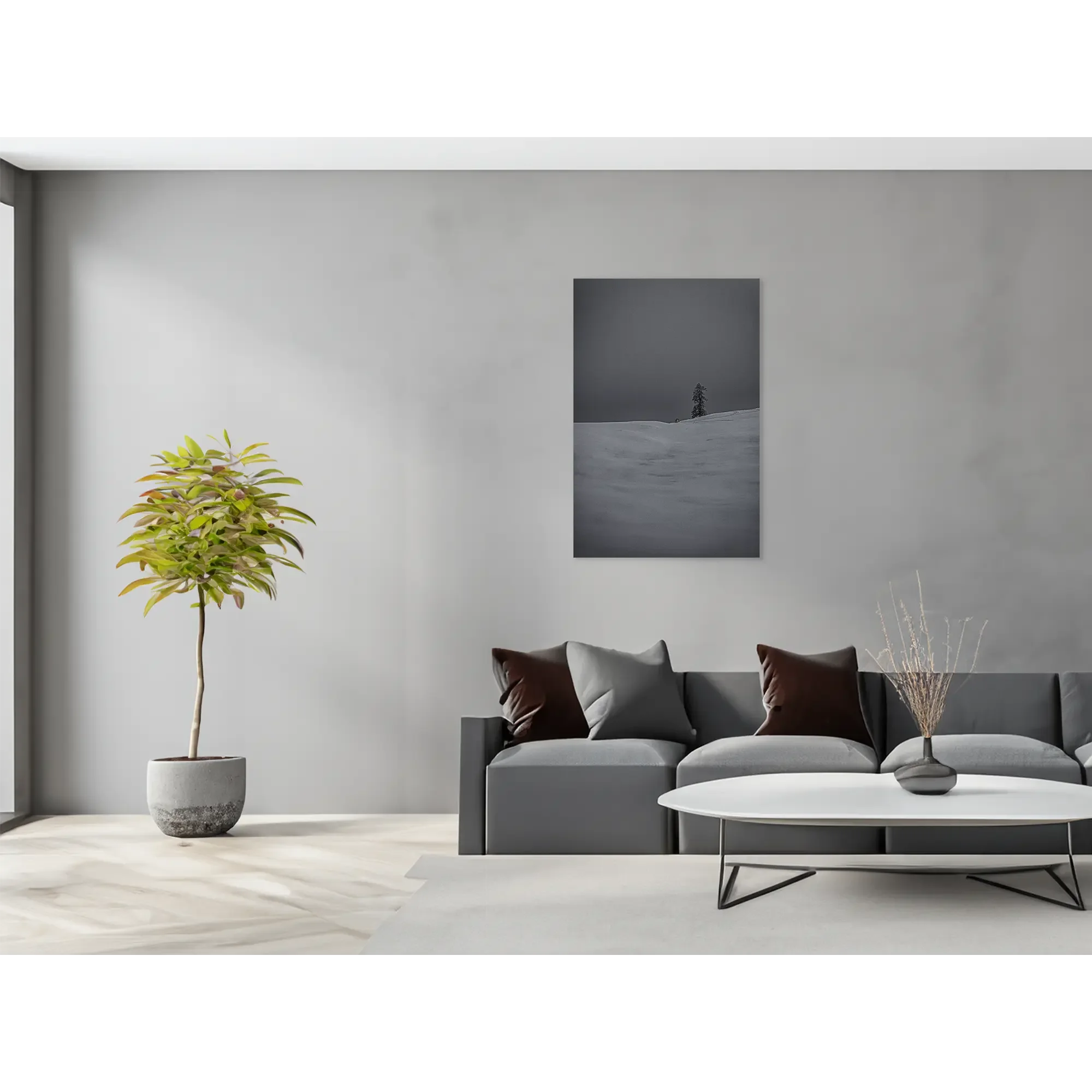 _JUP1472-Tanne im Schnee - im Raum.webp