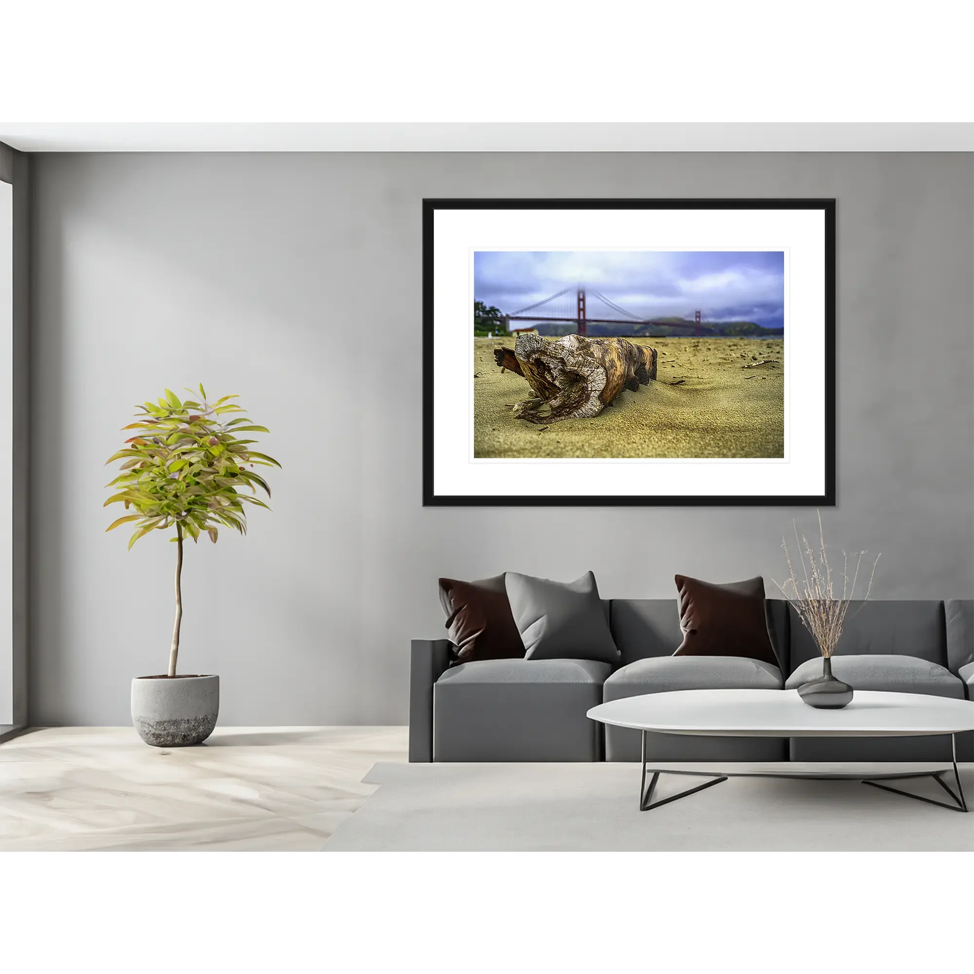 _JP75711-Treibholz SF  - schwarzer Rahmen - im Raum.webp