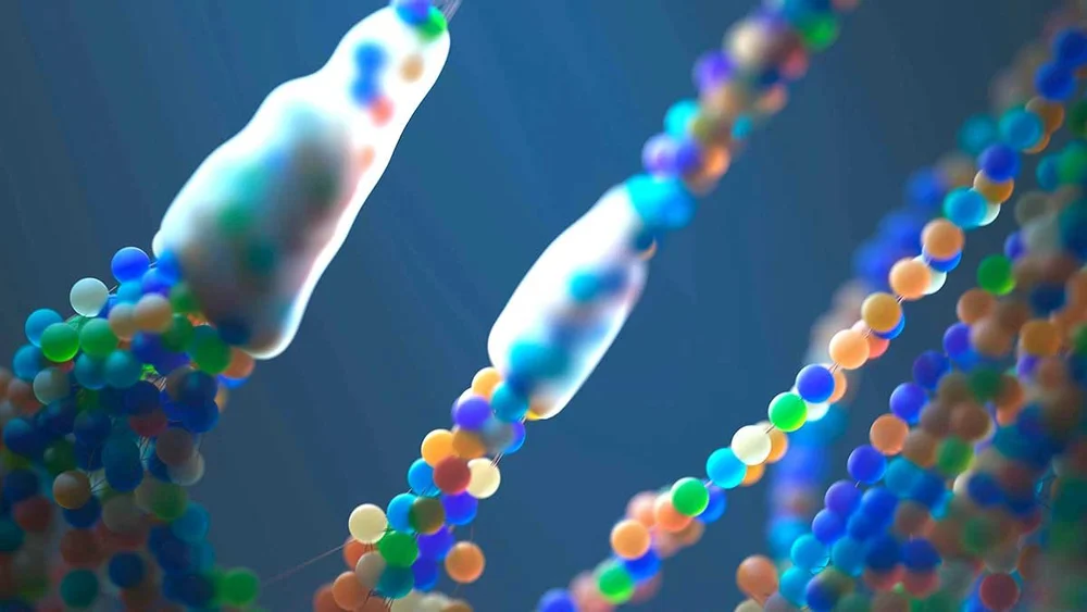Looking Beyond Symptoms: The Role of Genetics and Biochemistry in Modern Medicine