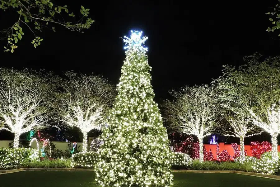 Holiday Lights In The Gardens 2025