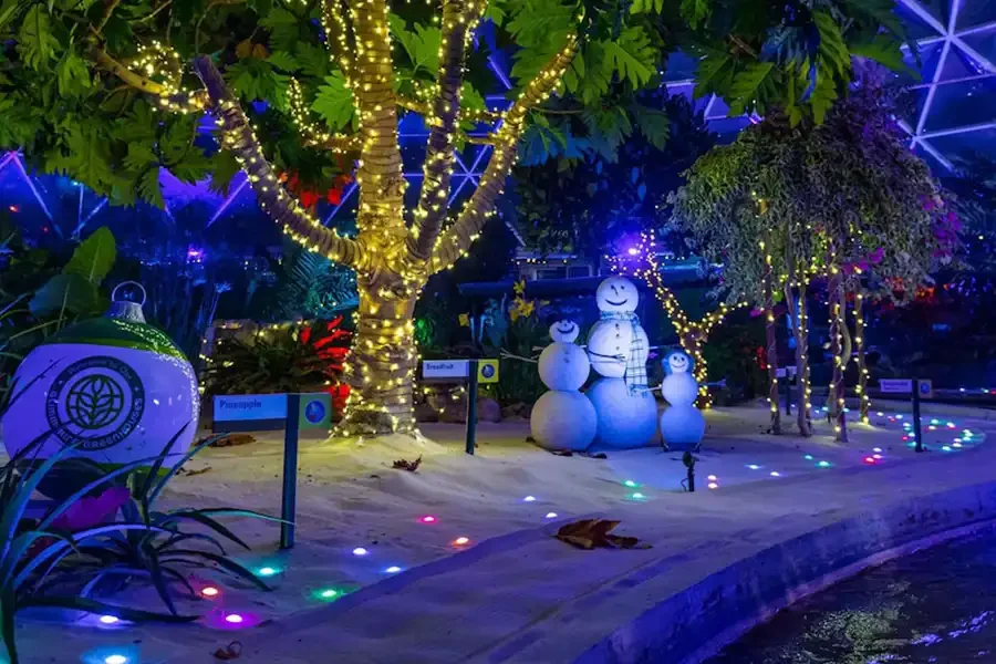 Holidays at Walt Disney World Resort