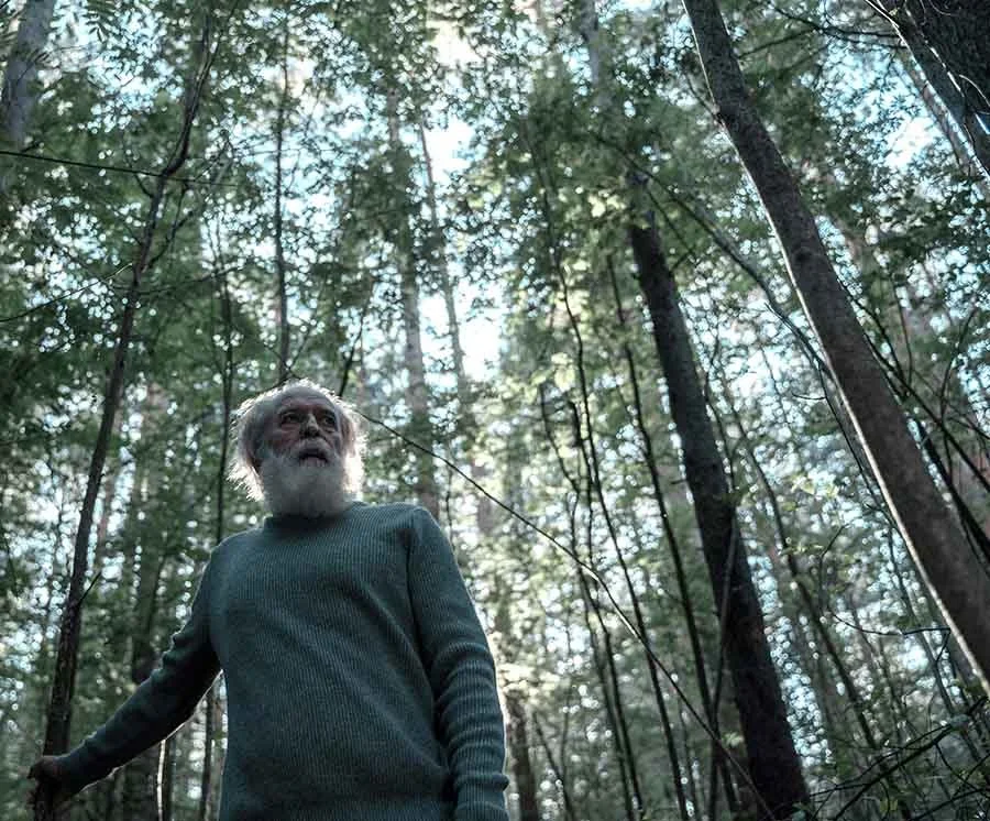 The Loss of Short-Term Memory