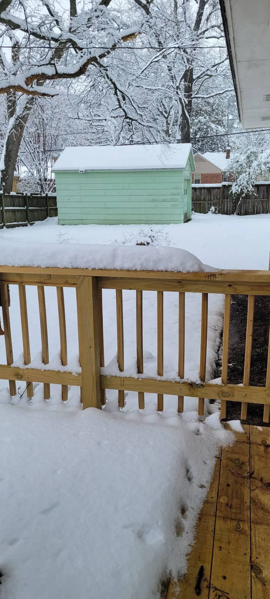 attachment (16).jpeg