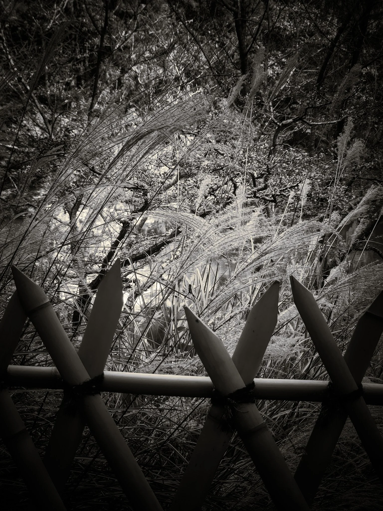20230915_164223.jpg