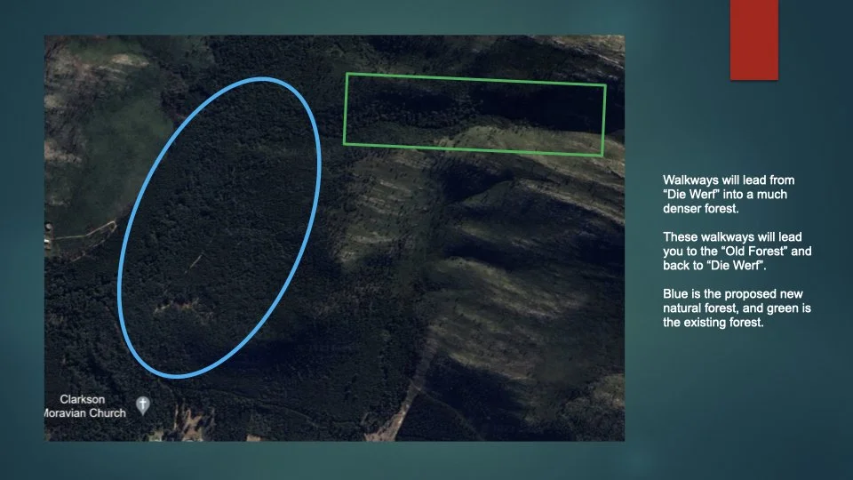 Reforesting & Agriculture Project2.037.jpeg
