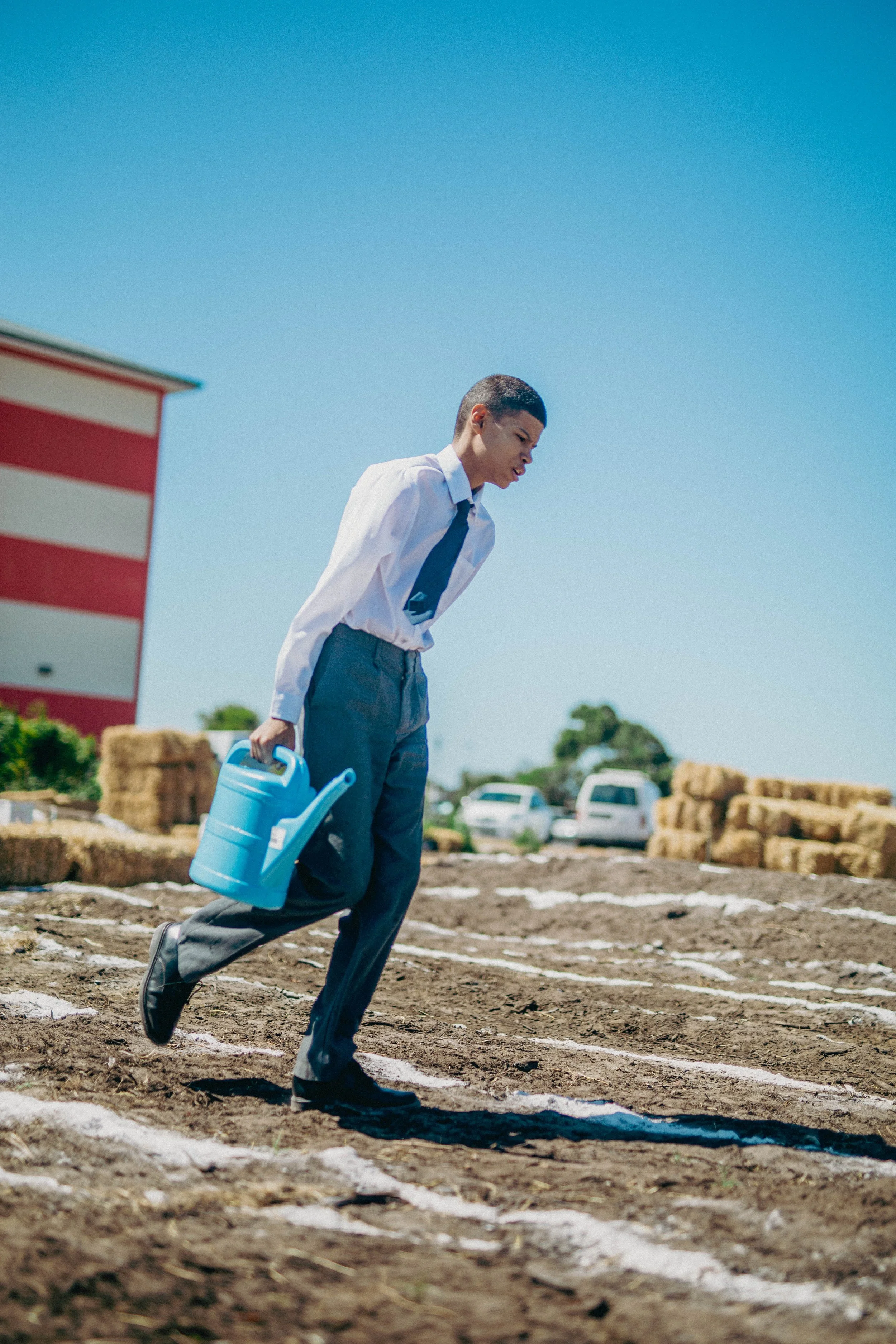 7 - 20251113 - Star Forest Sugi - HELG8769_.jpg