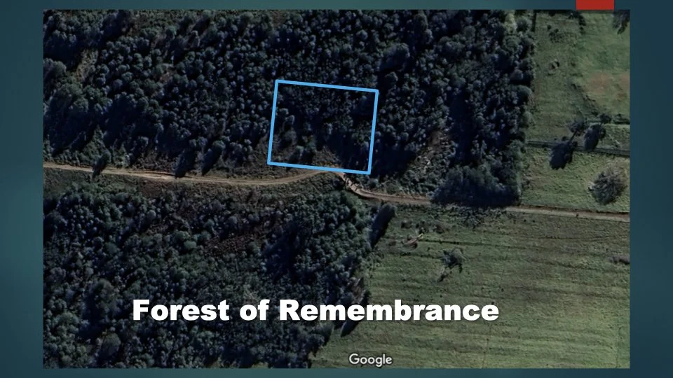 Reforesting & Agriculture Project2.017.jpeg