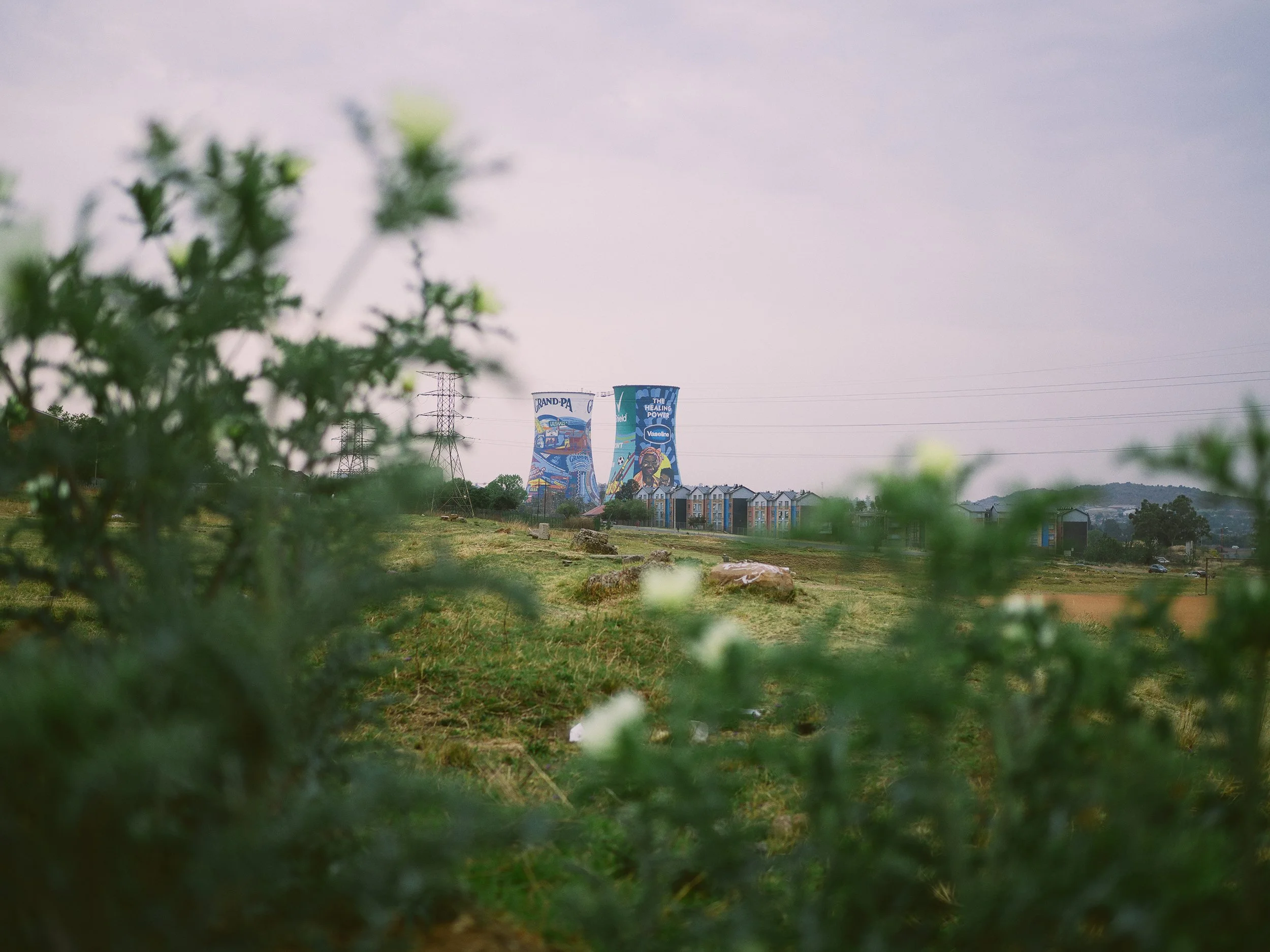 SUGi_ITHUBA UNITY FOREST_PLANTING_2025_LOW-RES_16.jpg