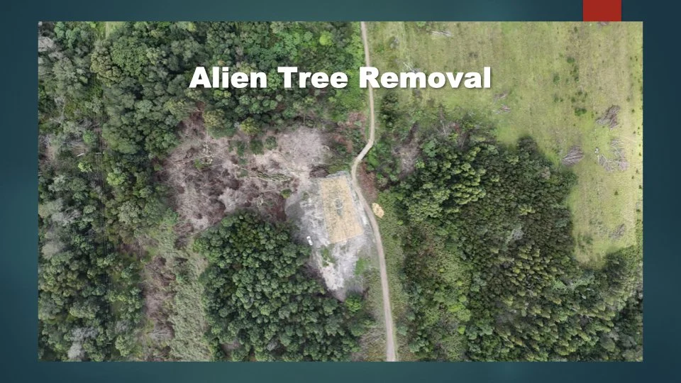 Reforesting & Agriculture Project2.022.jpeg