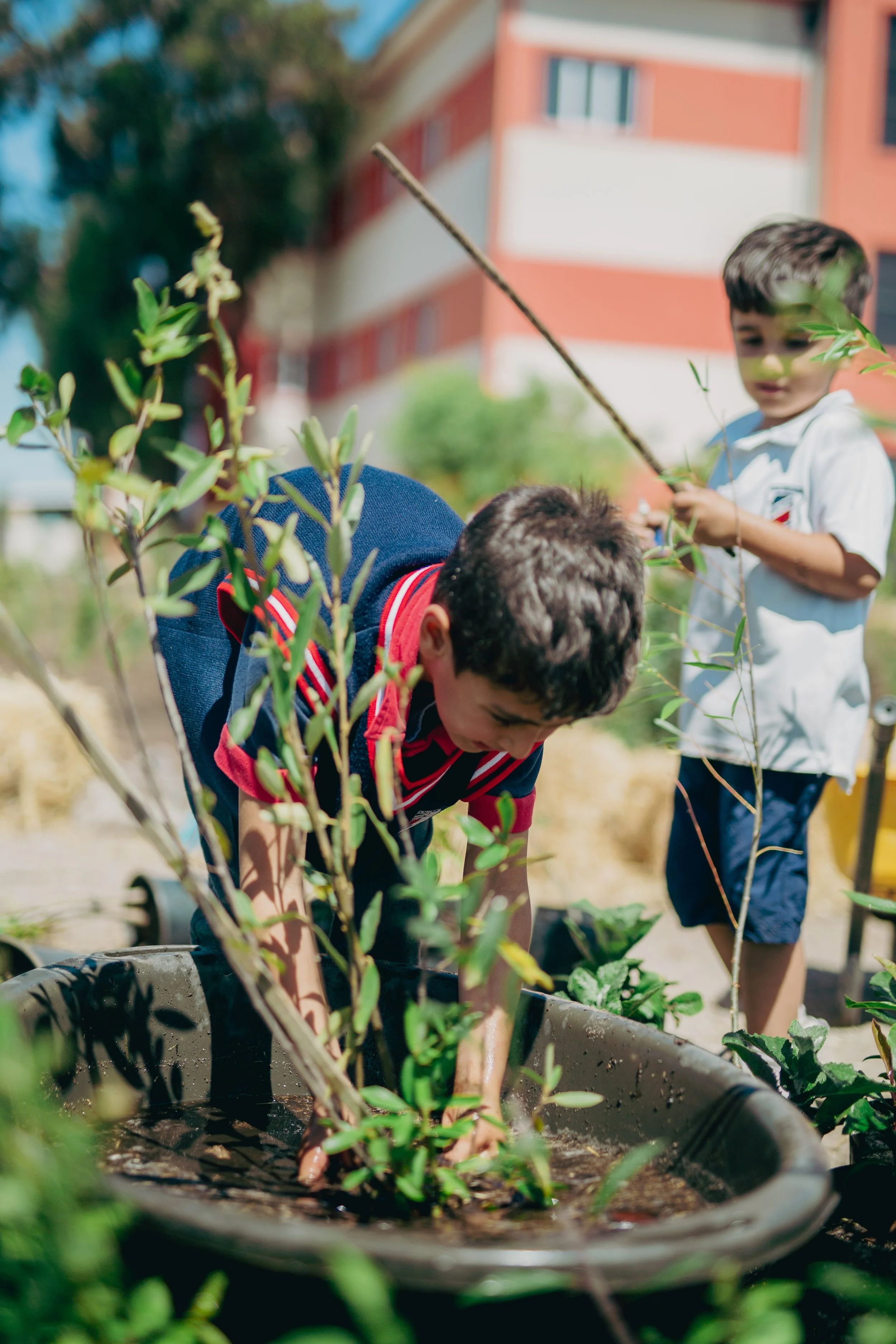 1 - 20251117 - MZANZI - HELG0426-2_.jpg