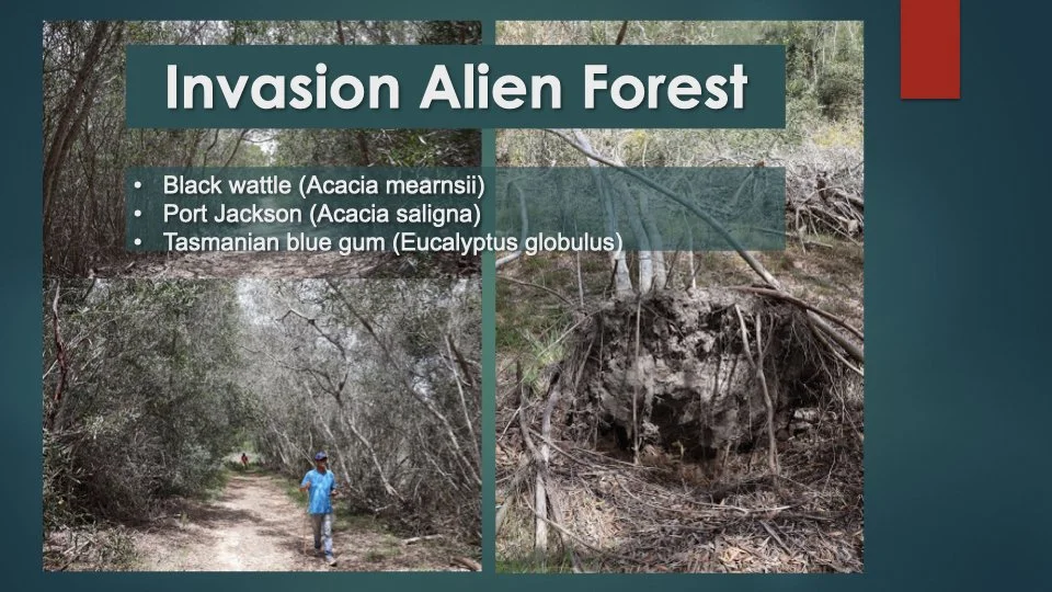 Reforesting & Agriculture Project2.009.jpeg