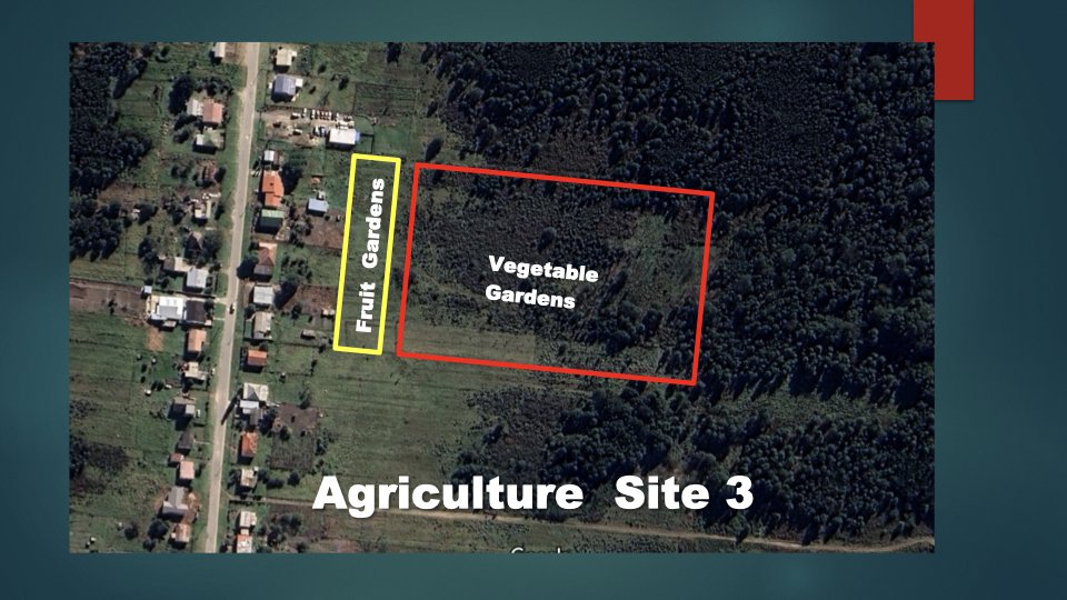 Reforesting & Agriculture Project2.016.jpeg