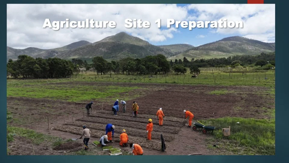 Reforesting & Agriculture Project2.028.jpeg