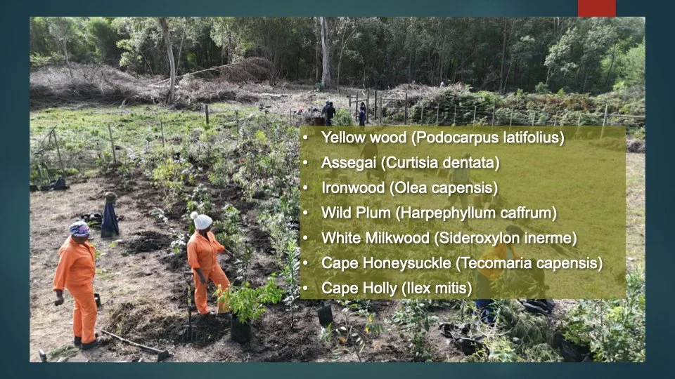 Reforesting & Agriculture Project2.025.jpeg