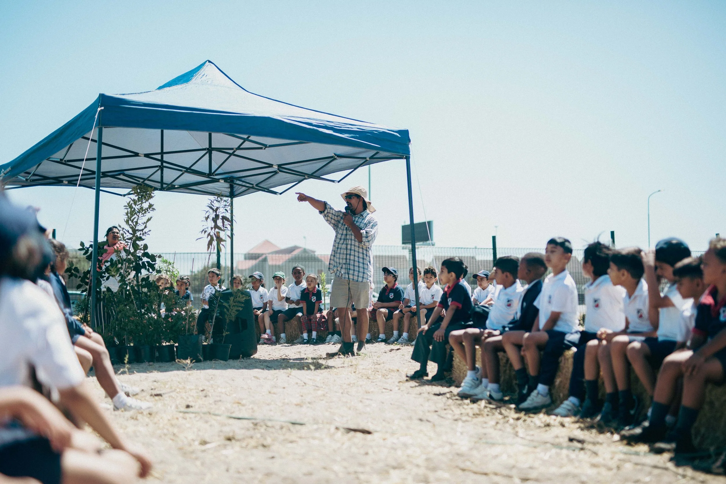 1 - 20251113 - stat forest - HELG8864_.jpg