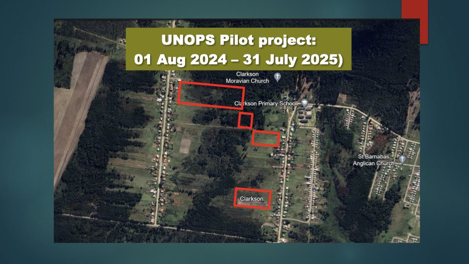 Reforesting & Agriculture Project2.013.jpeg