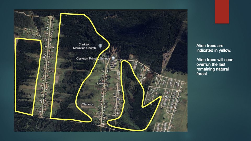 Reforesting & Agriculture Project2.008.jpeg